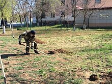 В Ахтубинске благоустроили сквер «Арбат-400»