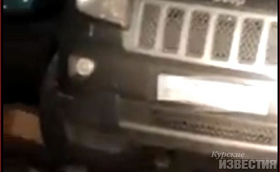 «Их штук 50 что ли?» Курянин снял на видео стаю крыс под капотом