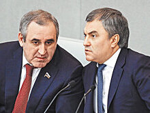 Минсельхоз определил квоты санкционного сырья для детского питания