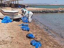 Загрязнение пляжей Хургады нефтью может стать постоянным