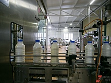Из-за снижения цен на молоко за два месяца кировские аграрии потеряли почти 180 миллионов