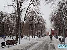 В Саратовской области за четыре дня может выпасть до трети месячной нормы снега