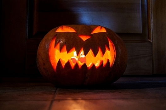 Где продаются бюджетные тыквы для Хэллоуина в Костроме?