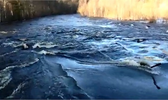 В одном из районов Вологодской области ввели режим ЧС из-за паводка