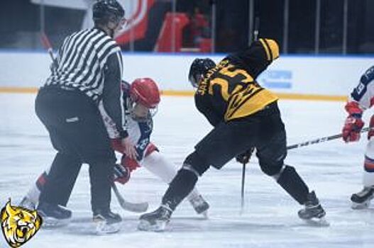 В Вологодской области создадут новую хоккейную команду