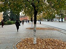 80% новых случаев коронавируса в области пришлось на Пензу