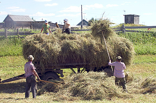 РАН: рост производства в агросекторе составит не менее 3% в год