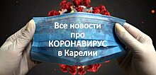 Карельские власти помогут предприятиям республики пережить период пандемии