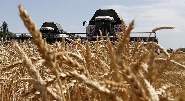 В Киеве отреагировали на запрет Польши по сельхозпродукции