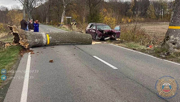 В ГАИ региона рассказали подробности ДТП под Гурьевском, где погиб водитель
