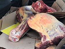 Из Красноярска в Ачинск не довезли 200 кг конины - отобрал Россельхознадзор