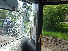 «Потянулся за водой»: водитель омского автобуса объяснил, почему отвлекся и сбил двух человек