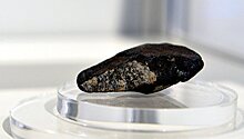 Музейщик рассказала, кто мог быть причастен к краже метеорита в Челябинске