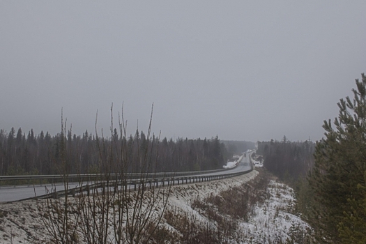 Волонтер Андрюшенков назвал сенсационную версию исчезновения семьи Усольцевых
