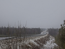 Волонтер Андрюшенков назвал сенсационную версию исчезновения семьи Усольцевых