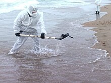 Ученые РАН закончили экспедицию в Анапе после нефтеразлива в Черном море