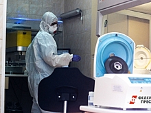 Вирусолог рассказал, грозит ли миру пандемия после обнаружения H5N5 в США