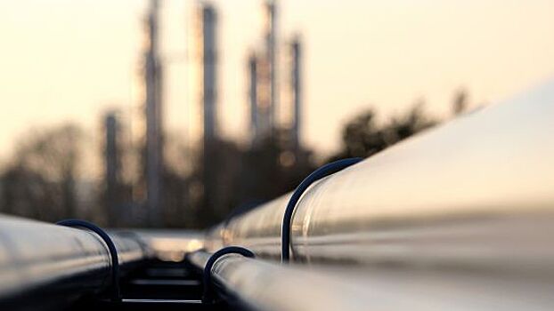 Япония прорабатывает вопрос постройки газопровода из РФ