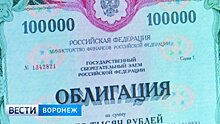 Как стать частным инвестором. Рекомендации от воронежских экспертов