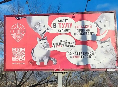 В российской рекламе засветился кот-зануда из TikTok