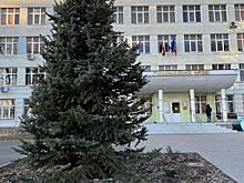 Пятиметровую елку переместили с Соборной площади на территорию детского сада Ростова
