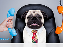 Откровенный треш: делайте так — и вы точно не найдёте работу в 2026 году