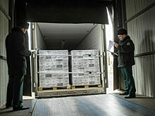 Не коньяк, а подкрашенный спирт: таможня выявила каналы поставок контрафакта