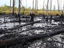 На Ставрополье из-за незаконной врезки разлилась нефть