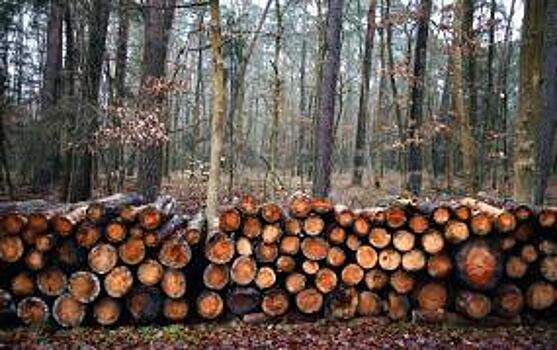 Погрузка лесных грузов в марте снизилась на 1,7%