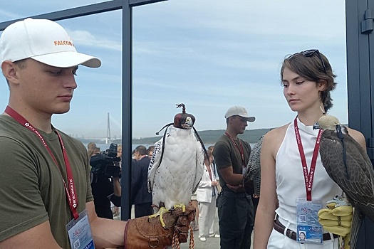 На ВЭФ-2025 открылся павильон "Дом сокола"