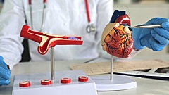 Врач предупредил о бессимптомном заболевании, которое убивает потенцию