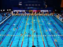 У Казани отобрали ЧМ по водным видам спорта-2025