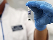 Переговоры по «Спутнику V» между Россией и Германией зашли в тупик