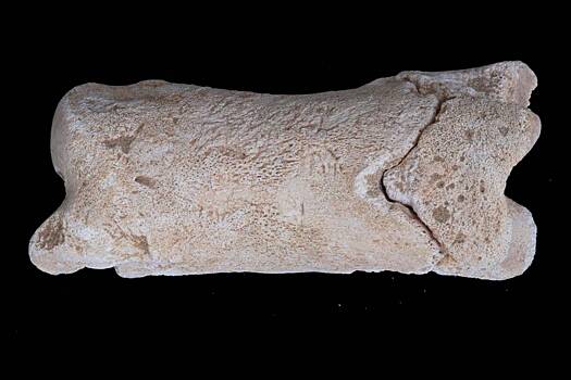 Археологи раскрыли тайну загадочного артефакта Древнего Египта