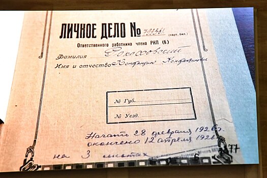 143 тысячи жителей Новосибирской области обратились в госархив в 2024 году
