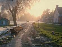 Новосибирский эксперт дачникам: как уберечь грядки в тени и во время заморозков