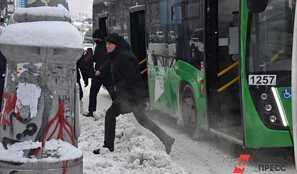 В Петербурге от снега убрали только маршрут для делегаций саммита СНГ