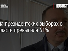 Явка на президентских выборах в Ленобласти превысила 61%