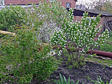 Военный эксперт Сивков высказался по поводу жесткого ответа за удар по Севастополю