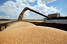 Россия впервые вышла на второе место по экспорту зерна