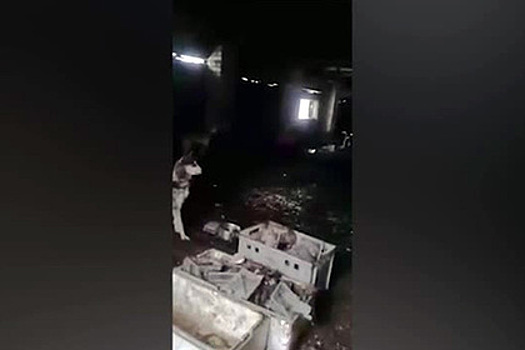 В русской деревне нашли 160 брошенных хаски