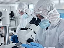 Биолог назвала несостоятельной одну из двух версий о создании коронавируса в лаборатории