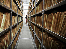 Как найти своих предков, переселившихся на территории Урала, Дальнего Востока, Сибири