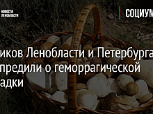 Грибников Ленобласти и Петербурга предупредили о геморрагической лихорадки