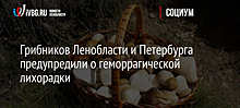 Грибников Ленобласти и Петербурга предупредили о геморрагической лихорадки