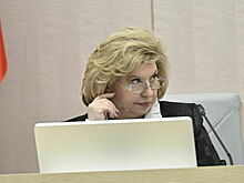Москалькова рассказала о голосовании россиян на границе с Эстонией