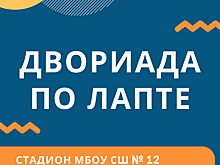 В Арзамасе пройдет Двориада по лапте