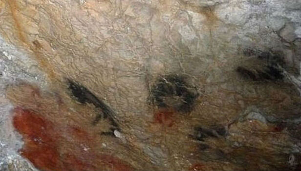 В древних наскальных рисунках нашли следы ритуальной ампутации пальцев