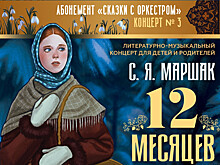 В Тамбове для юных зрителей проведут музыкально-литературный концерт «12 месяцев»