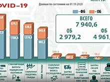 В Ленобласти раскрыли масштаб расходов на борьбу с COVID-19